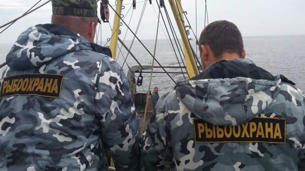 Браконьеры выловили более четырех тонн лосося на Камчатке