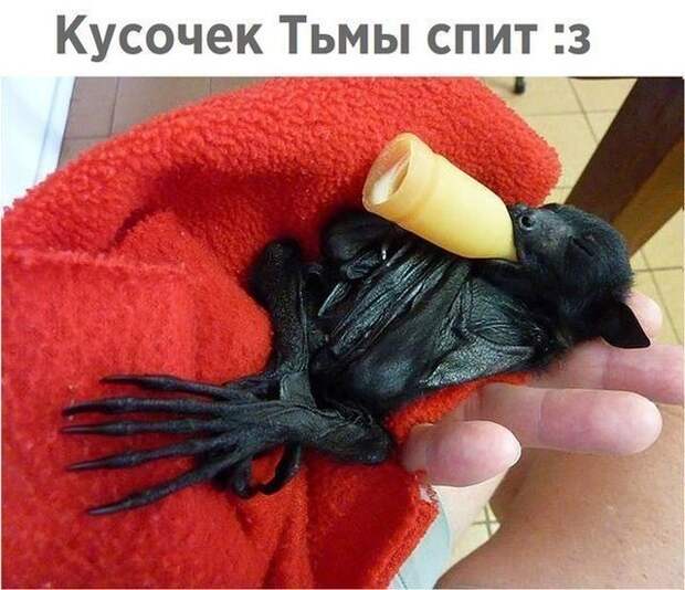 Подборка картинок. Вечерний выпуск (36 фото)