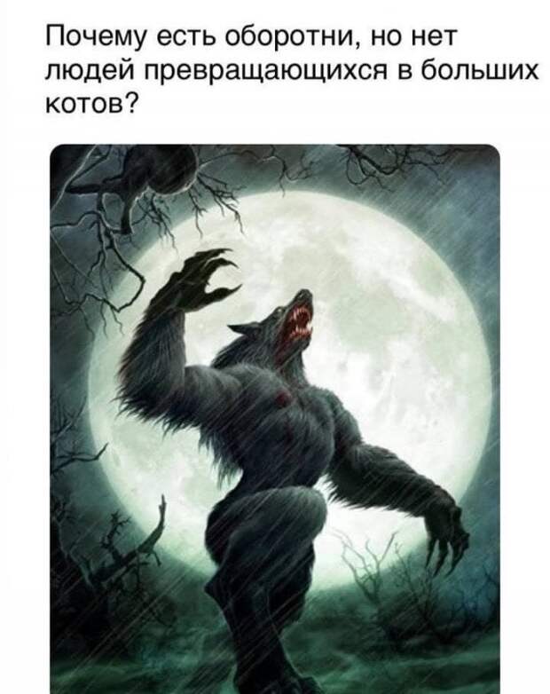 Вопросы и рассуждения, которые заставляют задуматься