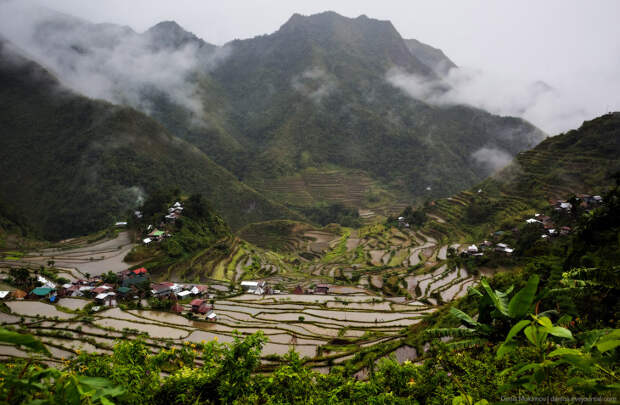 Рисовые террасы Банауэ Рисовые террасы Банауэ