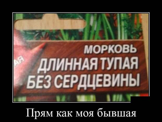 Демотиваторы (20 фото)