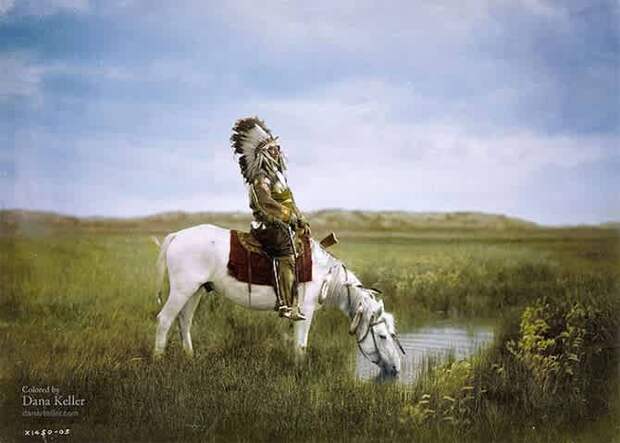 индеец, конь, водопой