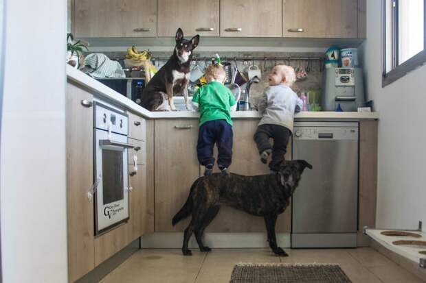 Родители с фотоаппаратом не дадут своим деткам заскучать Родители с фотоаппаратом не дадут своим деткам заскучать