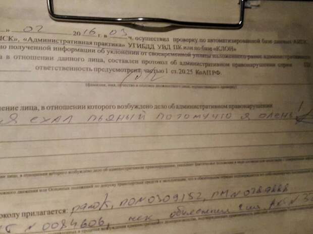 Инспектор ДПС может за короткий срок обучить письму даже животного Инспектор ДПС может за короткий срок обучить письму даже животного гибдд, дпс, прикол, юмор