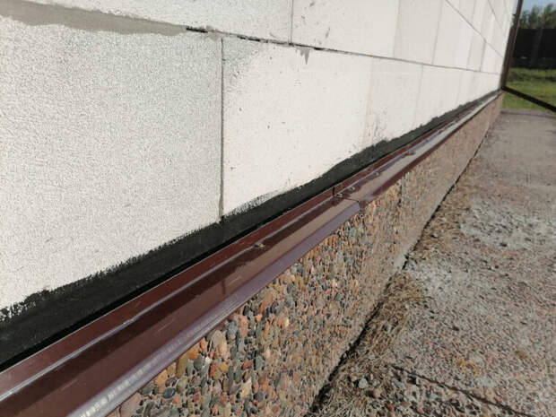 scale_1200.jpg