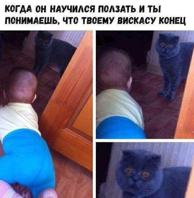 Приколы и мемы про &quot;яжматерей&quot; и детей
