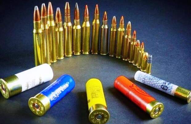 В чём разница между боевыми и охотничьими патронами