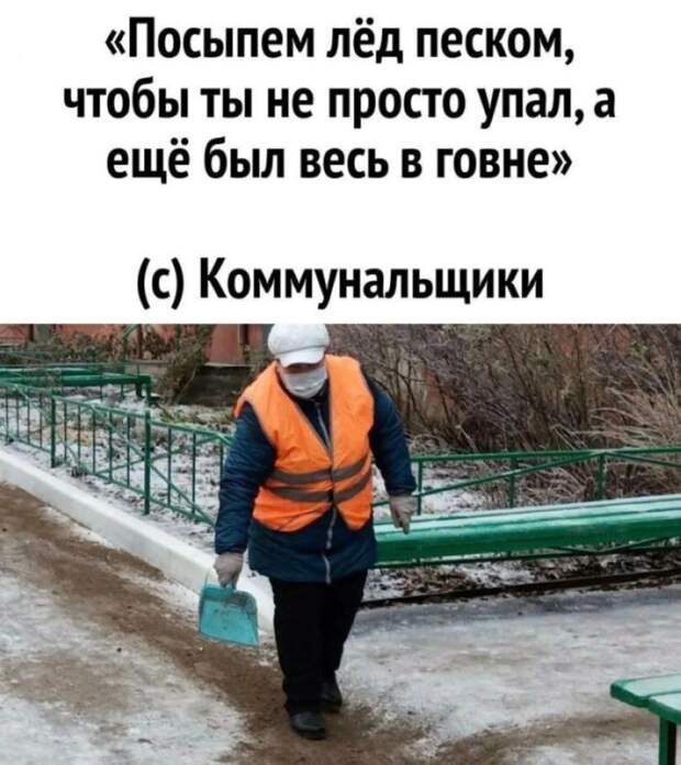 мемы