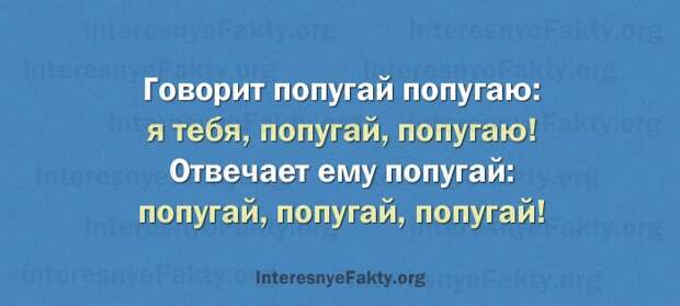 Особенности русского языка - INFOnotes
