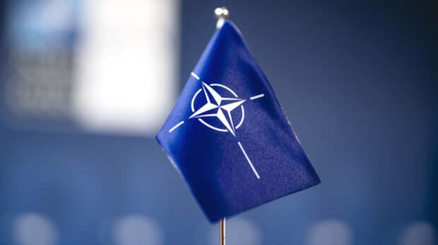 NYT: НАТО рассматривает идею отправки военных инструкторов на Украину