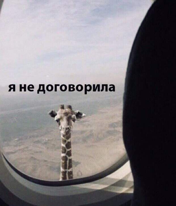 Подборка картинок. Вечерний выпуск (21 фото)