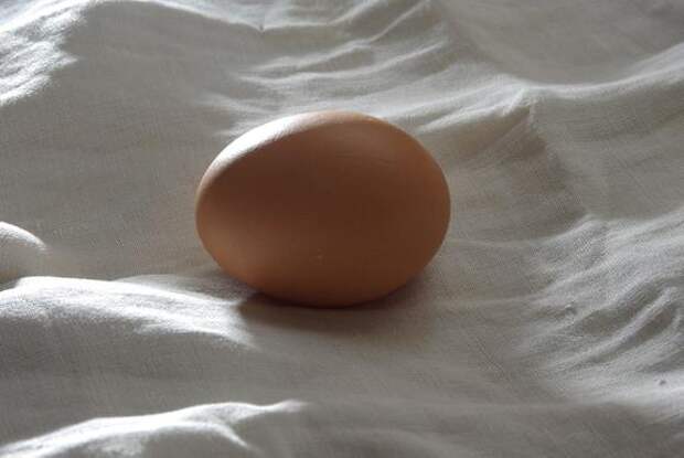 Ленобласть готова заместить яйца остановившейся птицефабрики «Волжанин»