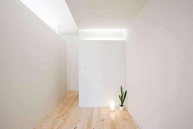 Интерьер маленькой квартиры-студии в светлых оттенках - одинокий цветок