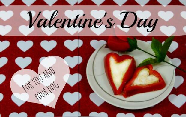 Valentine's Day for You and Your Dog