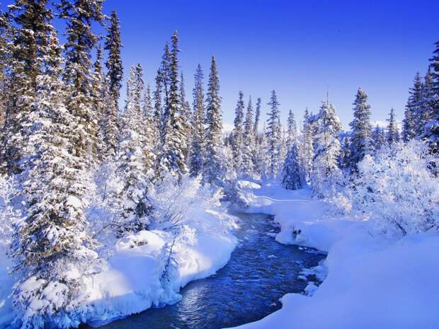 winter-river-forest-wallpaper.jpg