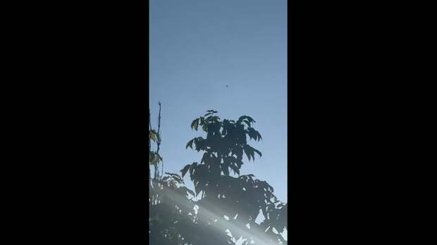 Video: Клип @donetskdnr_vk