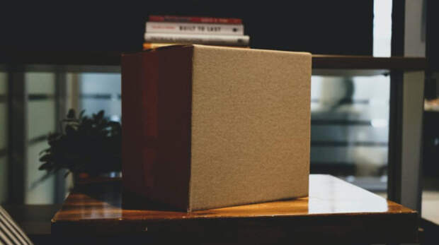 Посылка с мёртвой мышью и пауком пришла в посольство Франции из Крыма