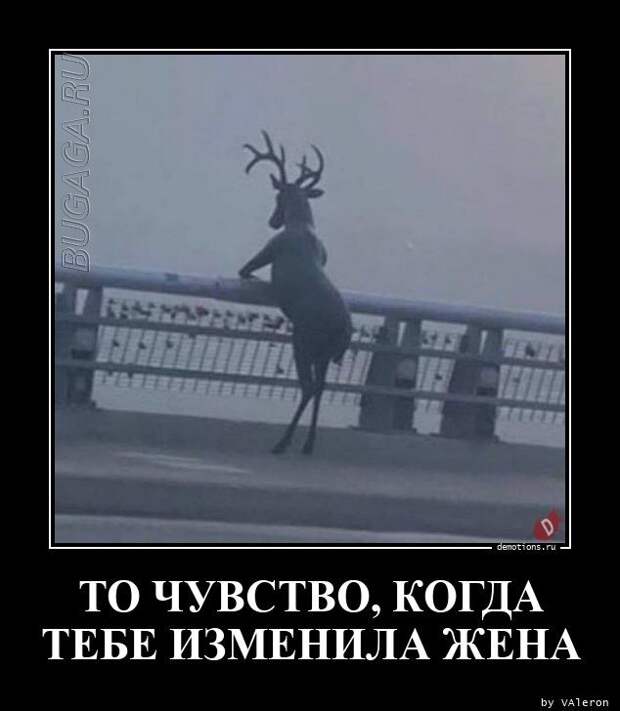 Демотиваторы дня: «Овощ, который знает ВСЁ!» (18 фото)