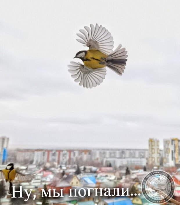 Ну, мы погнали!