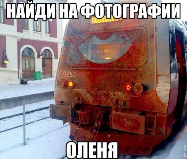 Смехотерапия Писца. Класс!
