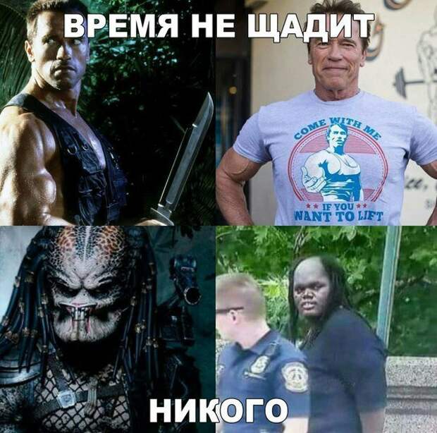 Картинки с надписями картинки, картинки с надписями, надписи, прикол, юмор