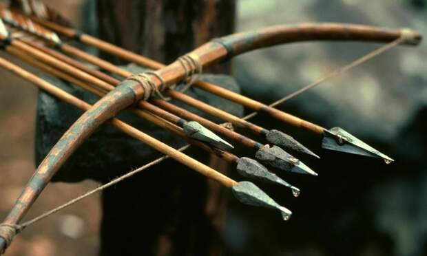 Учёные нашли древнейший яд на стрелах возрастом 60 тысяч лет