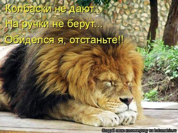 Мысли вслух :)