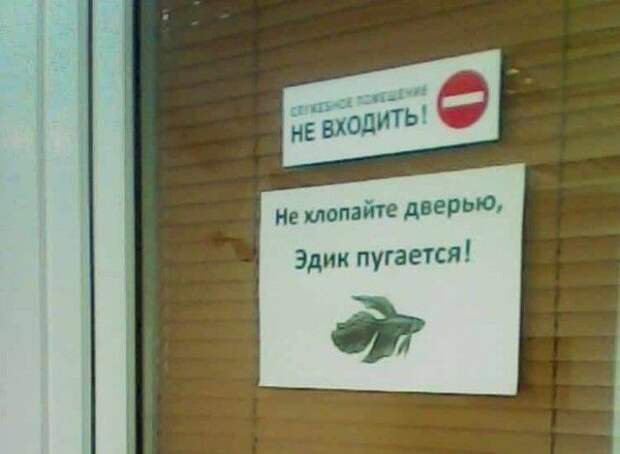 Объявления на улицах города
