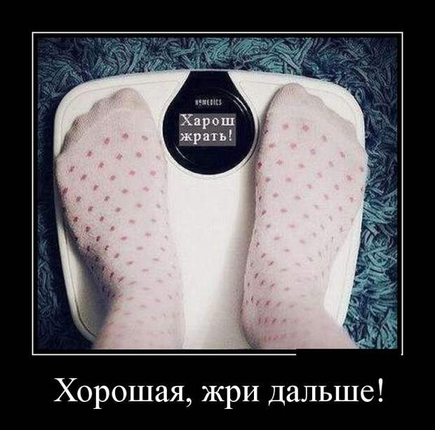 Демотиваторы дня от 31-08-2014