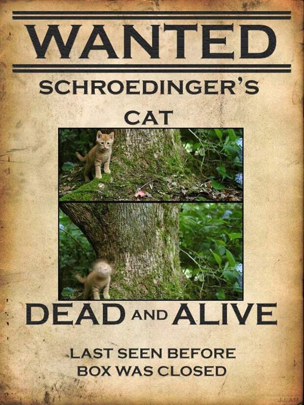 Кот Шрёдингера