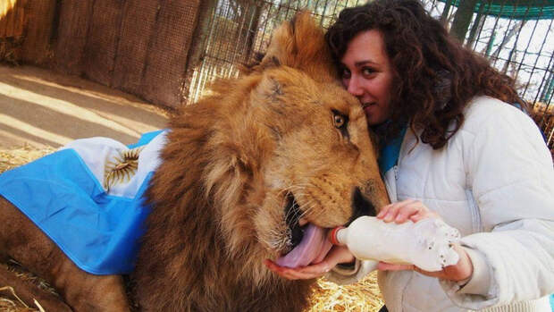 62231280_original (700x394, 338Kb)