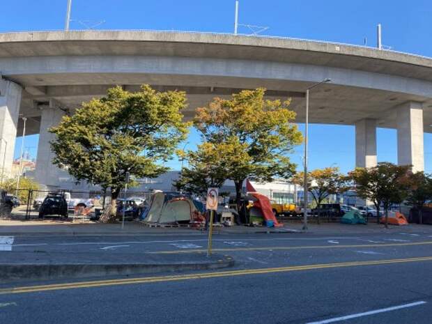Homelessness in US cities and downtowns | Brookings