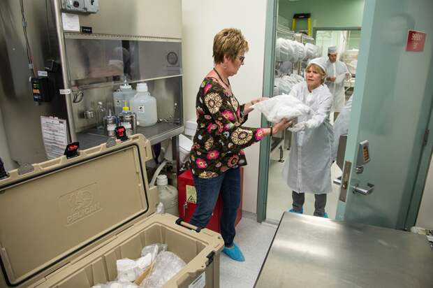 Meteorite samples from Antarctica arriving at NASA's Texas facility.