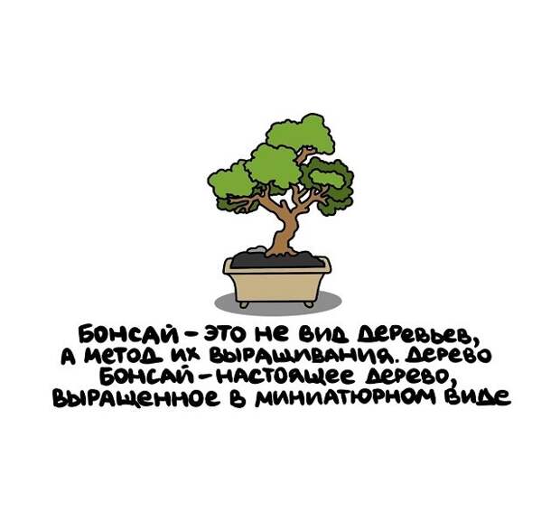 Интересные, но короткие факты на все случаи жизни