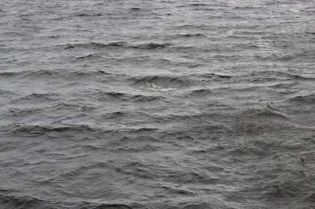 Специалисты проверили береговую линию реки Вьюн после сообщений о загрязнении