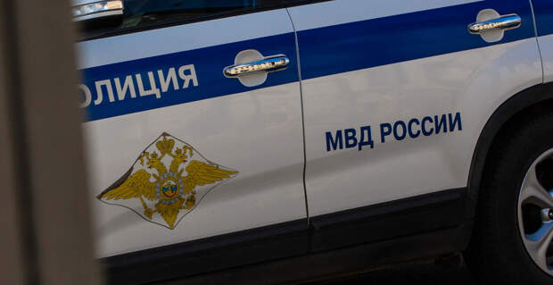Полицейские задержали устроивших свадьбу со стрельбой в Подмосковье