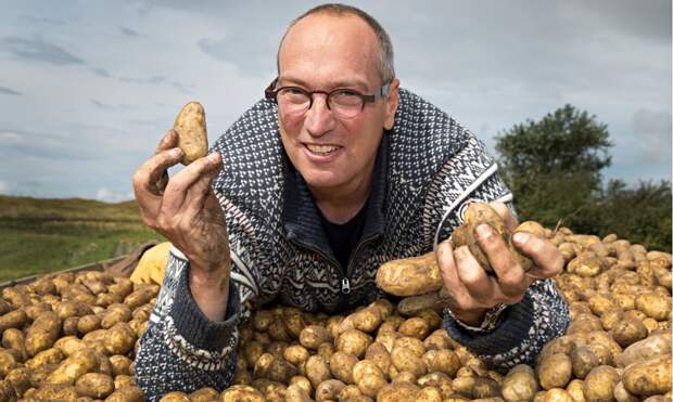 salt-tolerant-potatoes-011.jpg