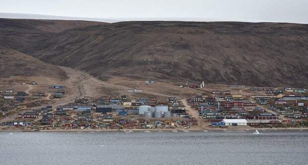 На краю света: как живется на севере Гренландии? Каанаак, арктика, гренландия, интересно, нарвалы, познавательно, суровый край, тюлени