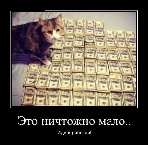Демотиваторы