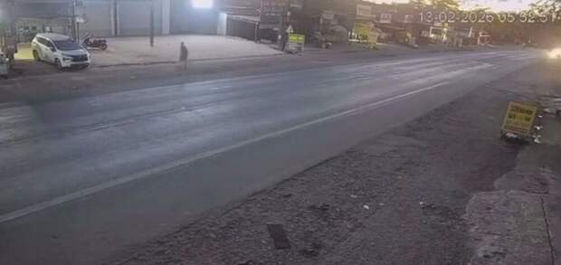 Ничто не предвещало беды