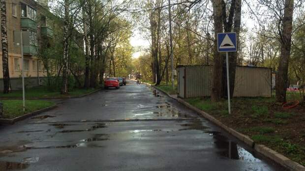 Возможно, это изображение (дерево, небо, дорога и улица)