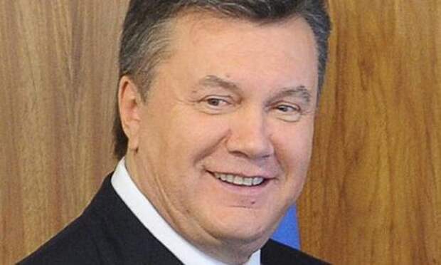 Украинские радикалы в 2014 году планировали сжечь Януковича заживо