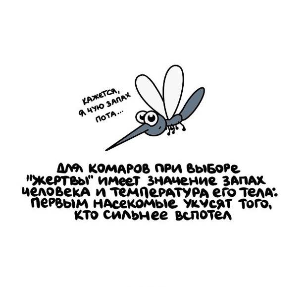 Интересные, но короткие факты на все случаи жизни
