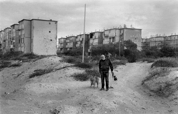 Shahar Tishler