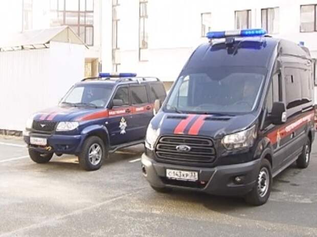 Председатель СК взял на контроль дело о травме ребенка в детсаду Мурома