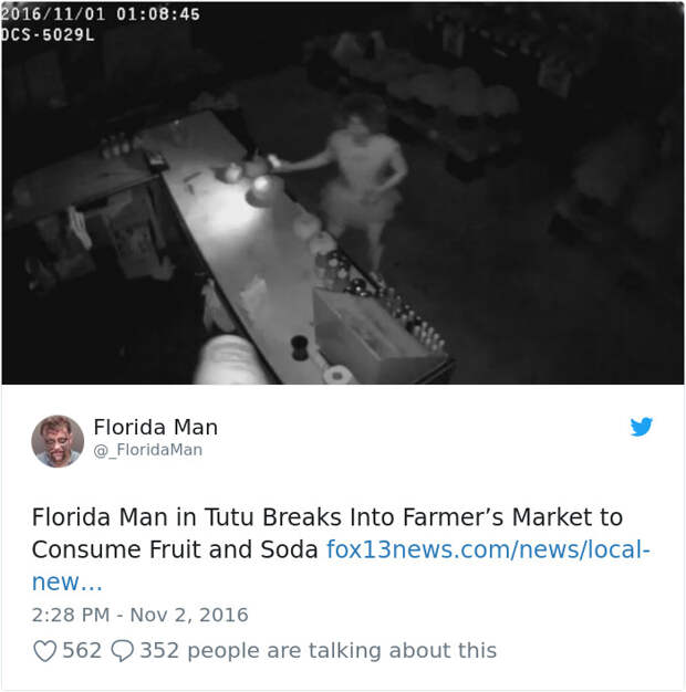 Florida-Man-Headings