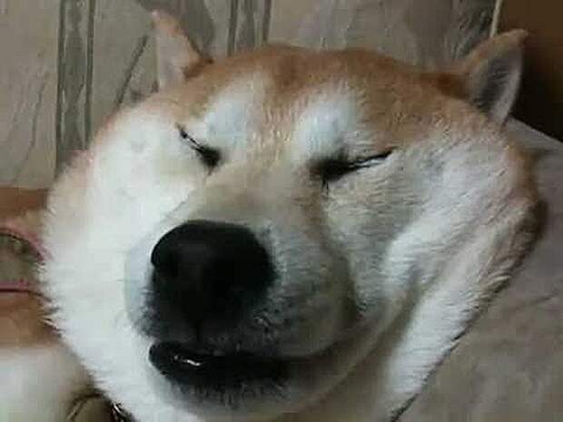 hqdefault