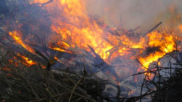 Площадь лесных пожаров увеличилась за сутки в Иркутской области