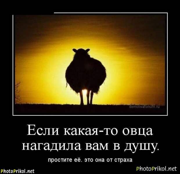 Новые демотиваторы со смыслом (30 картинок)