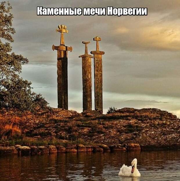 Подборка картинок. Вечерний выпуск (36 фото)